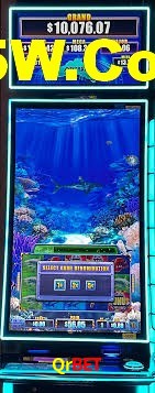 Live Casino Qrbet